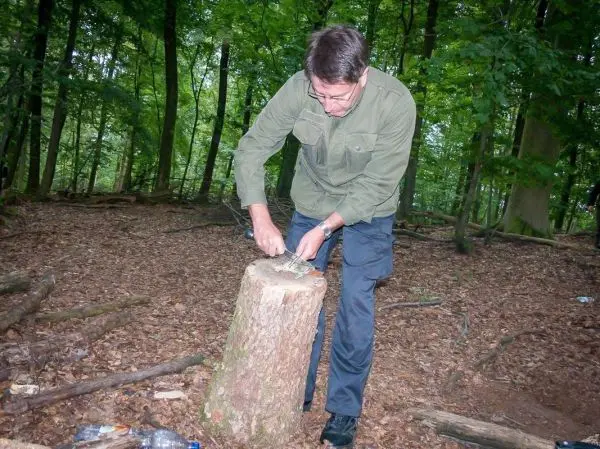 Person schnitzt mit einem Messer an einem Baumstamm im Wald