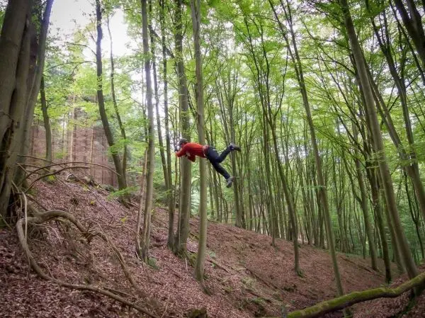 Person schwingt an einem Baum im Wald