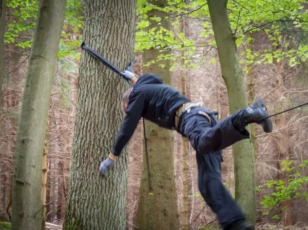 Person schwingt an einem Seil zwischen Bäumen
