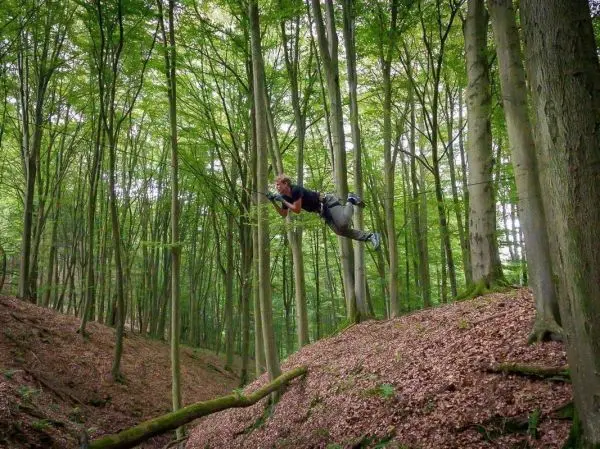 Person schwingt an Seil zwischen Bäumen im Wald