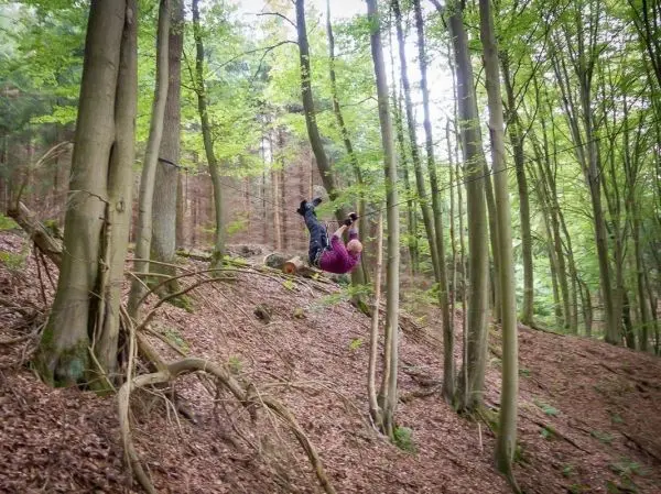Person überquert einen Hang im Wald, während sie an einem Baumstamm hängt