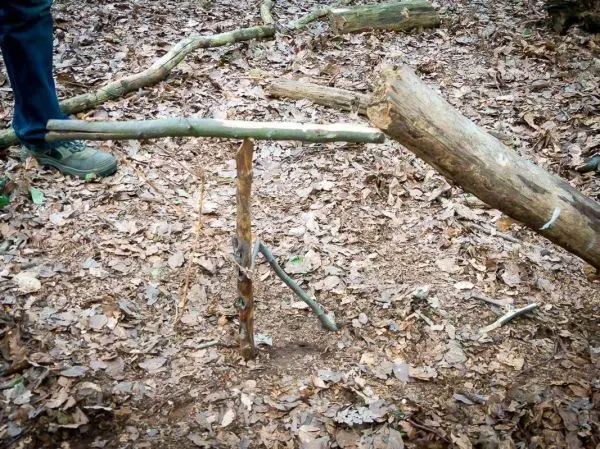 Schlagfalle (Figure-Four) aus Holzstücken im Laubboden konstruiert