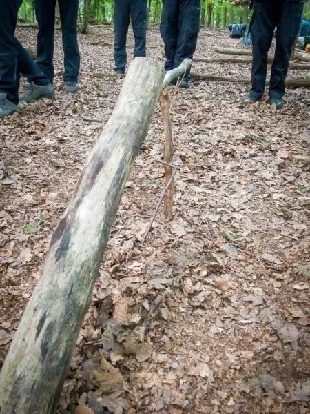 Schlagfalle (Figure-Four) aus Holzstücken im Wald aufgebaut