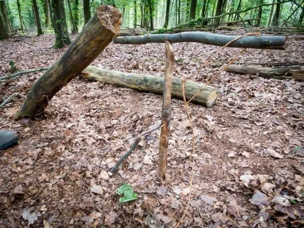 Schlagfalle (Figure-Four) aus Holzstücken und Schnur im Wald aufgebaut