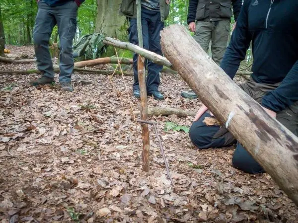 Schlagfalle (Figure-Four-Falle) mit Holzstücken und Auslöser im Laub