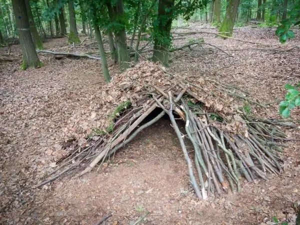 Selbstgebaute Tarp-Notunterkunft aus Ästen und Blättern im Wald