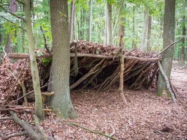 Selbstgebaute Tarp-Notunterkunft aus Ästen und Laub zwischen Bäumen