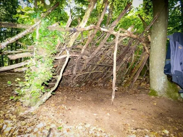 Selbstgebaute Laubhütte aus Ästen und Zweigen zwischen Bäumen im Wald