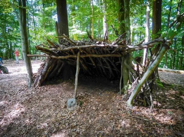 Selbstgebaute Tarp-Notunterkunft aus Ästen im Wald