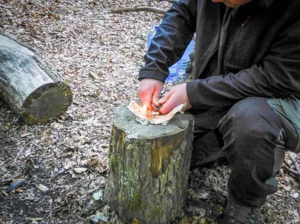 Zunder glimmt auf einem Holzstück während jemand Funken erzeugt