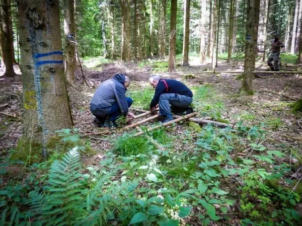 Zwei Personen bauen eine Holzstruktur aus Ästen im Wald