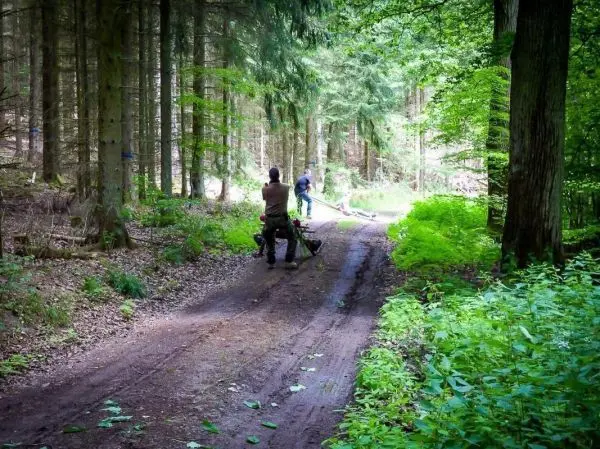 Zwei Personen ziehen eine selbstgebaute Seilbrücke über einen Waldweg