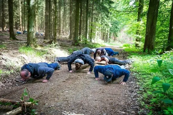 Gruppentraining im Wald, Teilnehmer führen Liegestütze auf dem Boden aus