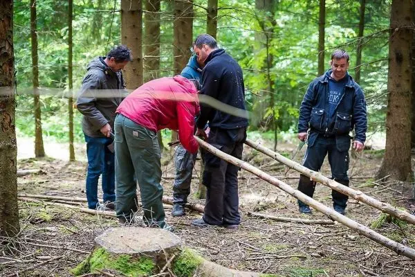 Gruppierung von fünf Personen arbeitet an einer selbstgebauten Konstruktion aus Ästen im Wald