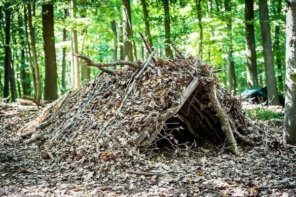 Laubhütte aus Ästen und Blättern im Wald