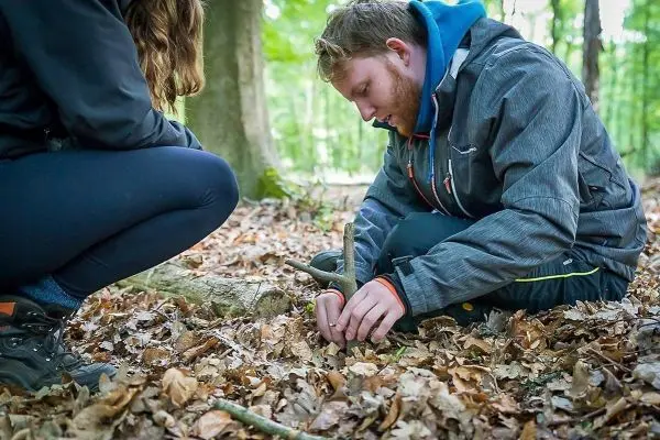 Mann positioniert einen Stock für eine Schlagfalle auf dem Waldboden