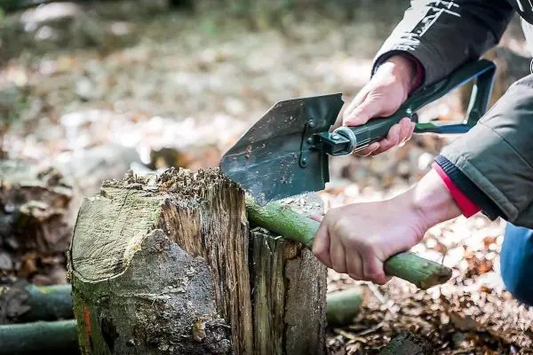 Messer schneidet in einen Baumstumpf, während ein Holzstück gehalten wird