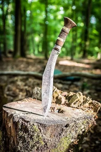 Messer steckt in einem Baumstumpf im Wald