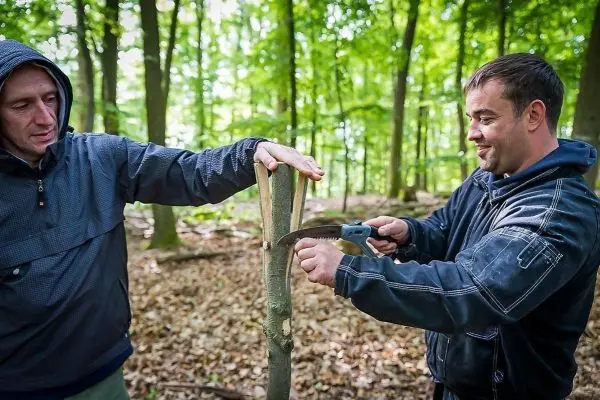 Person schneidet mit Säge einen Ast ab, Person hält den Ast fest