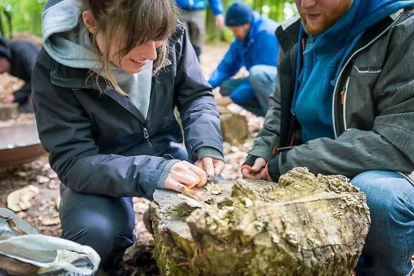 Person schnitzt mit einem Messer an einem Baumstumpf beim Survival Training