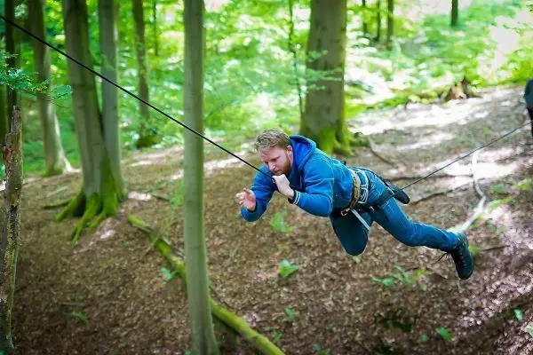 Person schwingt an Seil zwischen Bäumen im Wald