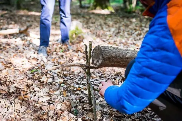 Schlagfalle (Figure-Four) wird mit einem Holzstück und zwei Ästen konstruiert