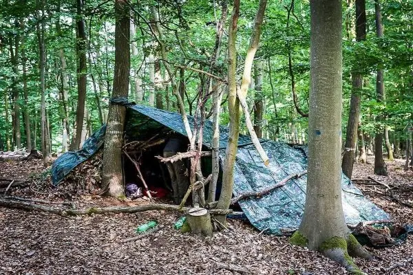 Tarp-Notunterkunft aus Ästen und Plane zwischen Bäumen im Wald