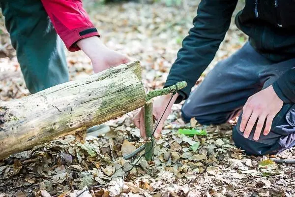 Zwei Personen bauen eine Konstruktion aus Holz im Wald