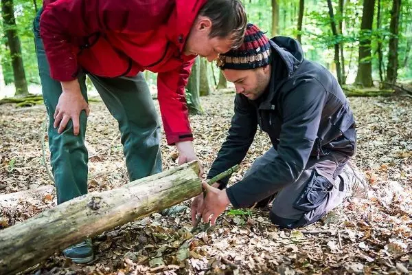 Zwei Personen untersuchen einen Holzstamm auf dem Waldboden