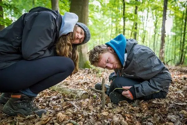 Zwei Personen untersuchen einen kleinen Stock im Laubboden des Waldes