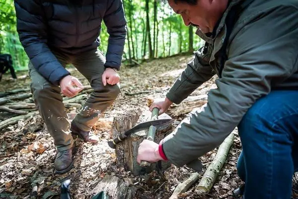 Zwei Personen verwenden eine Klappsäge, um einen Holzstamm zu zerteilen