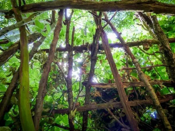 Blick auf eine selbstgebaute Notunterkunft aus Ästen und Blättern