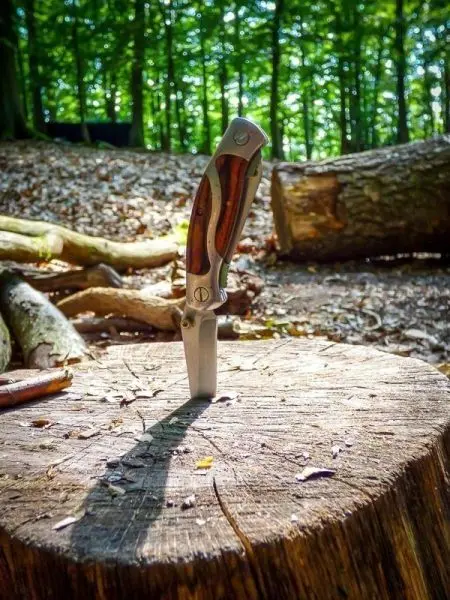 Ein Taschenmesser steckt in einem Baumstumpf im Wald