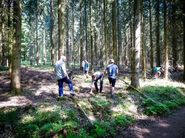 Gruppe arbeitet im Wald, entfernt Äste und räumt den Boden auf
