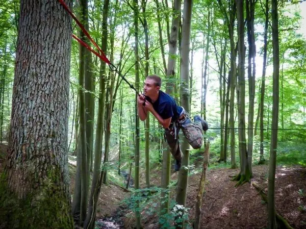 Person schwingt an Seil zwischen Bäumen im Wald