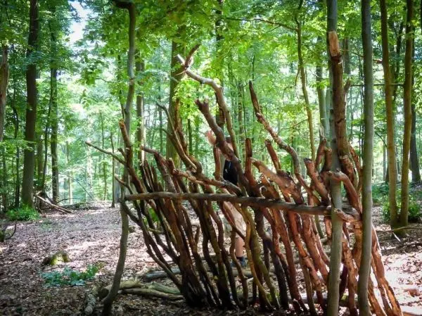 Selbstgebaute Holzstruktur aus Ästen im Wald, umgeben von Bäumen und Laub
