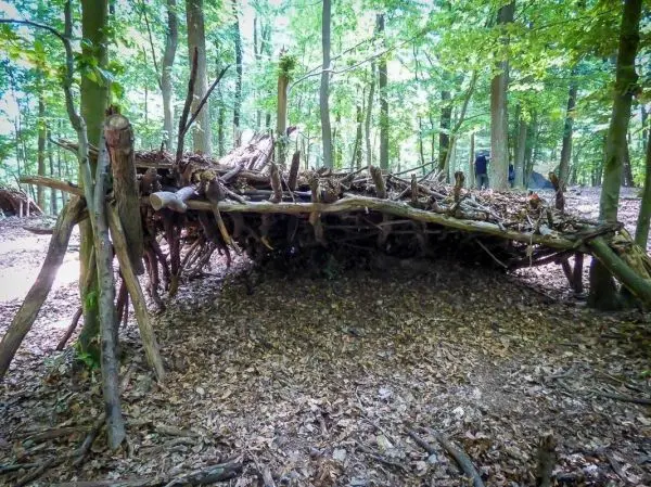 Selbstgebaute Holzstruktur im Wald zwischen Bäumen und Laub
