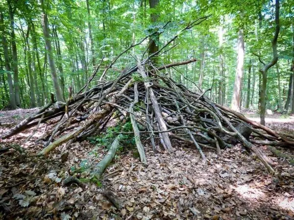 Selbstgebaute Laubhütte aus Ästen im Wald, umgeben von Laub und Bäumen