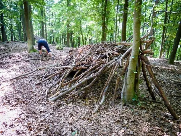 Selbstgebaute Laubhütte aus Ästen und Blättern im Wald