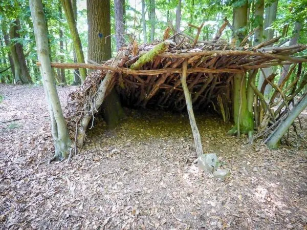Selbstgebaute Laubhütte aus Ästen und Zweigen im Wald