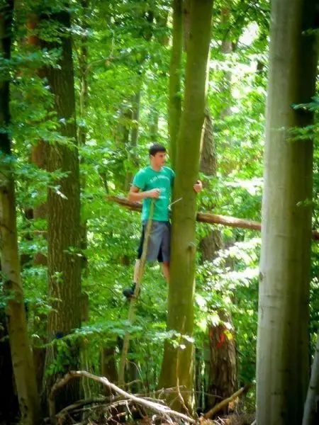 Selbstgebaute Plattform zwischen Bäumen mit Person, die darauf steht und einen Stock hält