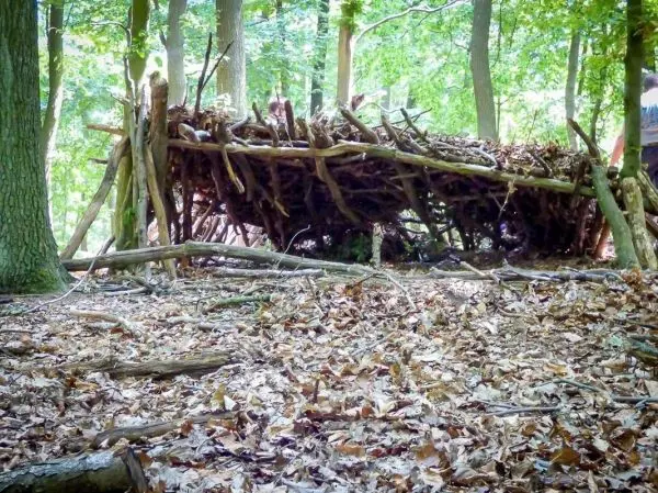 Selbstgebaute Unterkunft aus Ästen im Wald auf Laubboden