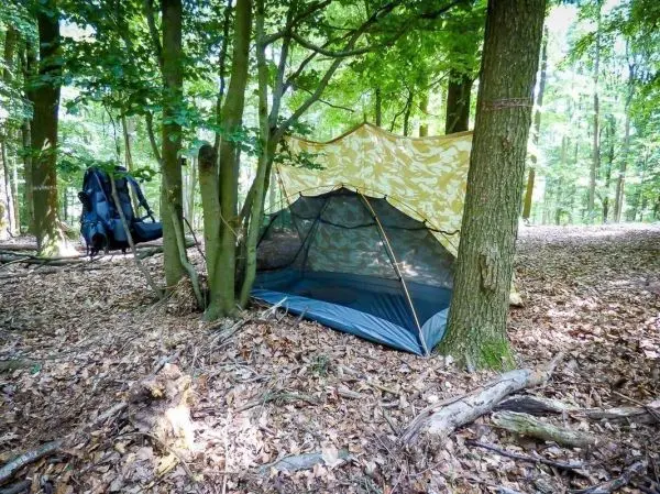Tarp-Notunterkunft zwischen zwei Bäumen auf Laubboden im Wald
