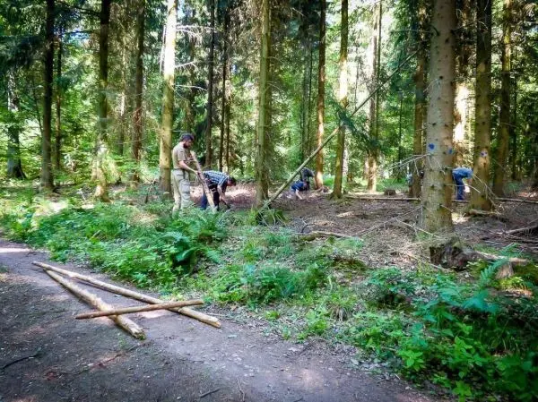 Teilnehmer sammeln Holz und bereiten den Boden im Wald vor