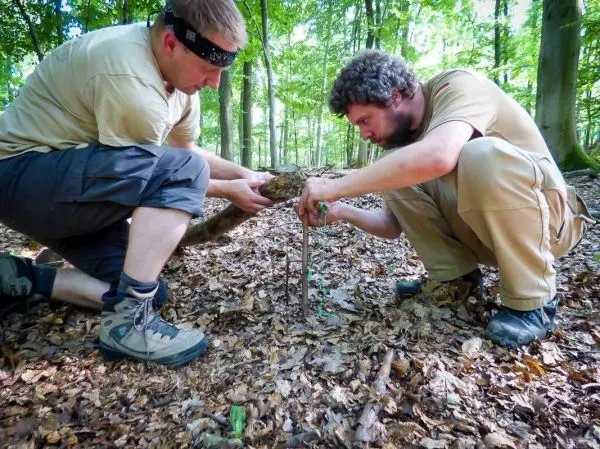 Zwei Personen bauen eine Konstruktion aus Ästen im Wald