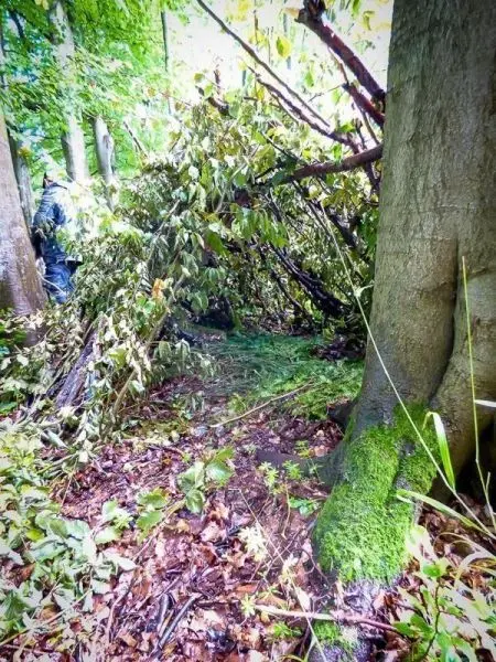 Ein selbstgebauter Unterschlupf aus Ästen und Blättern im Wald