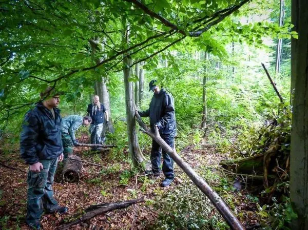 Gruppierung von Personen im Wald, die Holzstücke für eine Konstruktion sammeln