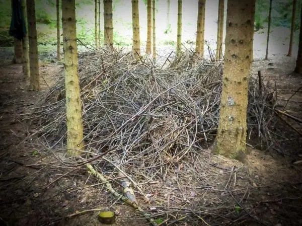 Haufen aus Ästen und Zweigen zwischen Baumstämmen im Wald