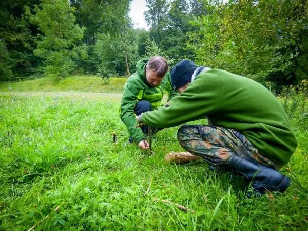Personen bauen eine Feuerstelle im Gras auf