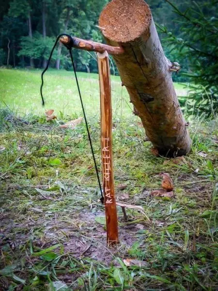 Schlagfalle (Figure-Four-Falle) mit Auslöser und Holzstück im Boden verankert